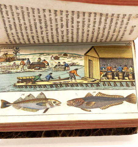 Unterhaltungen aus der Naturgeschichte. Der Fische. Erster und zweyter theil.