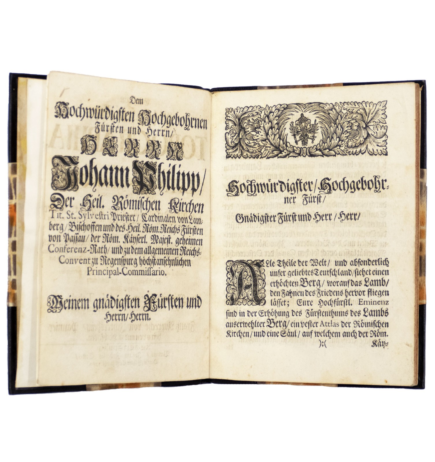 Ganz neue Elsaessische topographia,...