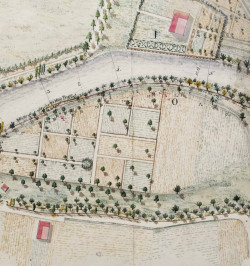 Dessin aquarellé - Robertsau. Plan d'une partie du cours du bras gauche de la rivière d'Ill dit le canal des moulins.