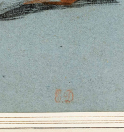 Dessin original. Parties anatomiques. Etude d'écorchés. Jambes et Pieds.