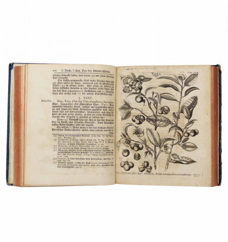 Médecine-Oenologie-Viticulture) - Zwey Bücher von der Materia Medica.