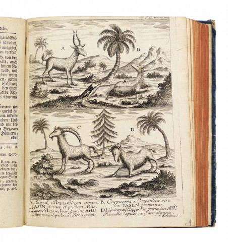 Médecine-Oenologie-Viticulture) - Zwey Bücher von der Materia Medica.