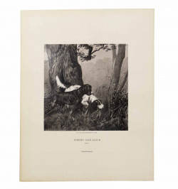Album fuer Jarger und Jargliebhaber.