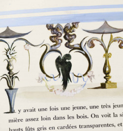 Histoire de douce-amère et du Prince Maladroit.