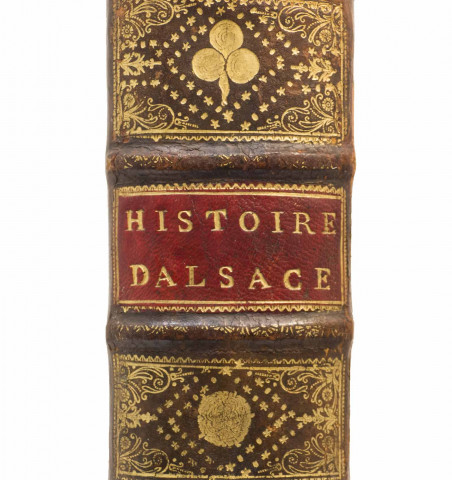 Histoire de la province d'Alsace depuis Jules César jusqu'au mariage de Louis XV.