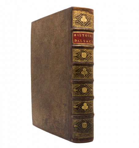 Histoire de la province d'Alsace depuis Jules César jusqu'au mariage de Louis XV.