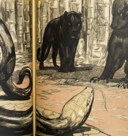 La Chasse de Kaa.