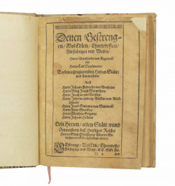 Strassburgische Chronick, oder: Kurtze Beschreibung von ankunfft, Erbau und Erweiterung der Statt Strassburg,...