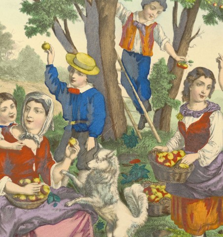 Les 4 saisons. Lithographies originales de Camille Burckardt.