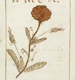 Livre de prières manuscrit - Gebeth Buch worin zu finden ist.