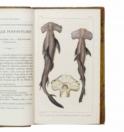 Œuvres du Comte de Lacépède.