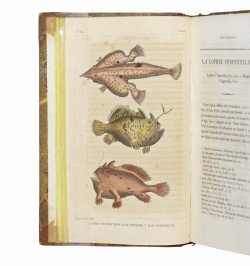Œuvres du Comte de Lacépède.