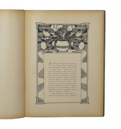 Kunsthafe-Album. 1899.