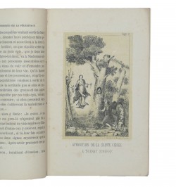 Notice historique sur le pèlerinage de Notre-Dame des Trois-Epis...