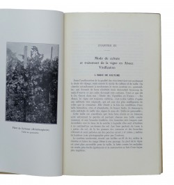 Le vignoble alsacien et ses vins (étude analytique).