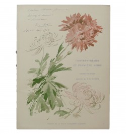 Chrysanthèmes et première neige.