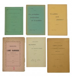 [Ensemble Grandidieriana] - Autour de l'abbé Grandidier.
