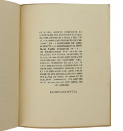 L'immaculée conception.