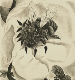 La vie des abeilles.