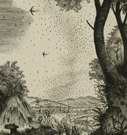 La vie des abeilles.