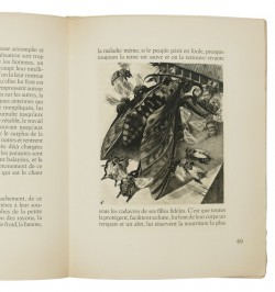 La vie des abeilles.