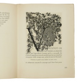 La vie des abeilles.