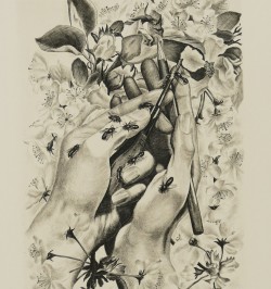 La vie des abeilles.
