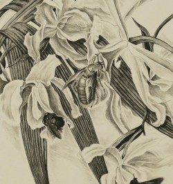 La vie des abeilles.