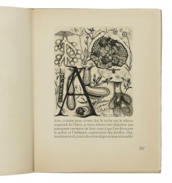 La vie des abeilles.