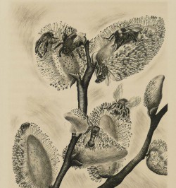 La vie des abeilles.