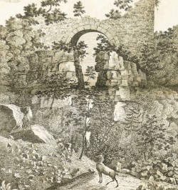 Vogesische Ruinen und Naturschönheiten.