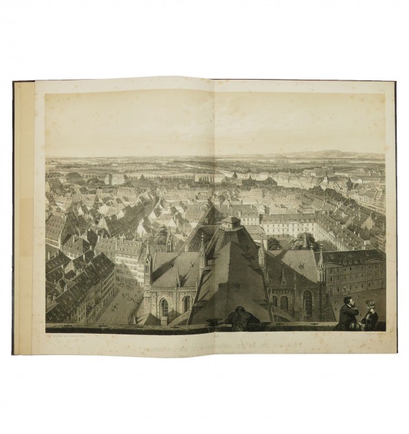 Panorama de Strasbourg et de ses environs. Panorama de Strasbourg et de ses environs.
