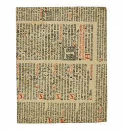 Carmen de conversione d. Pauli Apostoli publicè recitatum in celeberrimaa Argentinensium Academia.