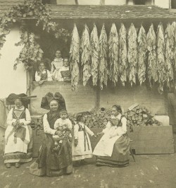Images du Musée Alsacien à Strasbourg - Bilder aus dem Elsässer Museum zu Strassburg.