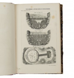 L'Alsace illustrée ou recherches sur l'Alsace pendant la domination des Celtes, des Romains,