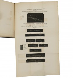 Essai de géologie comparée des Pyrénées du plateau central et des Vosges.