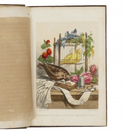 Les petits oiseaux artistes ou la volière du Garde-Chasse.