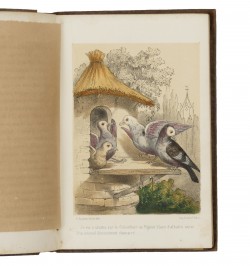 Les petits oiseaux artistes ou la volière du Garde-Chasse.