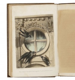 Les petits oiseaux artistes ou la volière du Garde-Chasse.