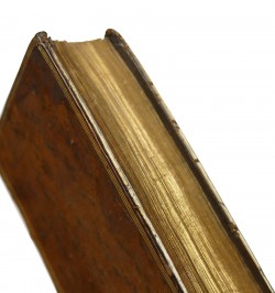 Eloge de la folie, traduit du latin d'Erasme.