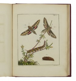 Archives de l'histoire des insectes, publiées en allemand. Traduites en françois.
