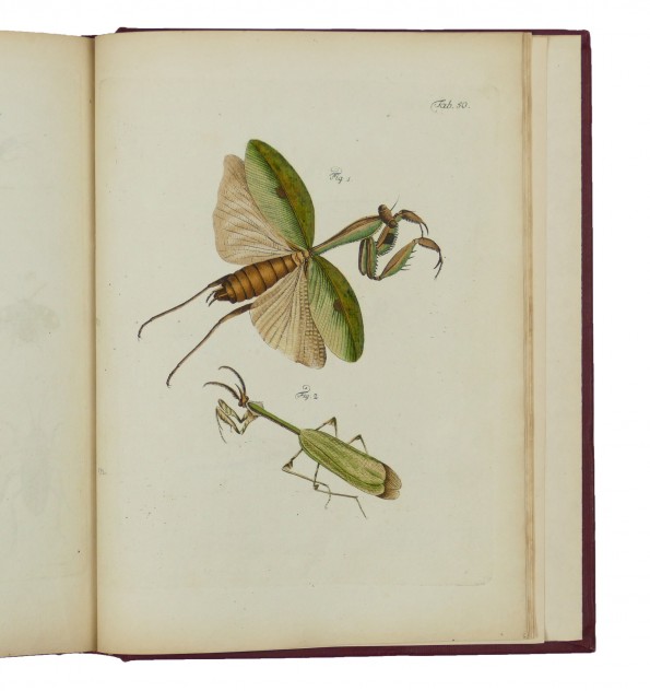 Archives de l'histoire des insectes, publiées en allemand. Traduites en françois. Archives de l'histoire des insectes, publiées en allemand. Traduites en françois.