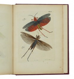 Archives de l'histoire des insectes, publiées en allemand. Traduites en françois.