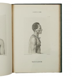 Les Habitants de Suriname. Notes recueillies à l’Exposition coloniale d’Amsterdam en 1883.