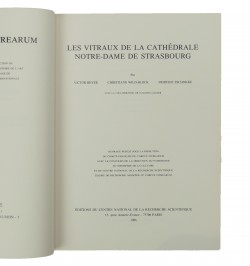 Les vitraux de la cathédrale Notre-Dame de Strasbourg.