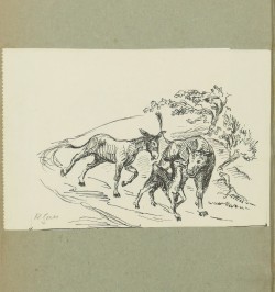 Les paysans de l'Alsace au Moyen-age : étude sur les cours colongères de l'Alsace.