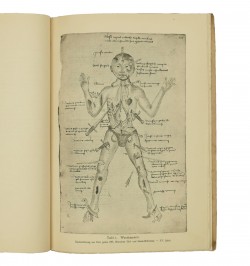 Das Buch der Cirurgia des Hieronymus Brunschwig. Strassburg, J. Grüninger, 1497.