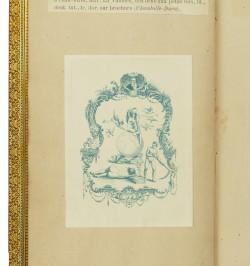 Théâtre des Pupazzi.