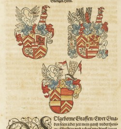 Chronicon Alsatiae,