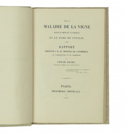 De la maladie de la vigne dans le midi de la France et le nord de l'Italie.